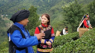  魅力无量，万亩茶园茶飘香！