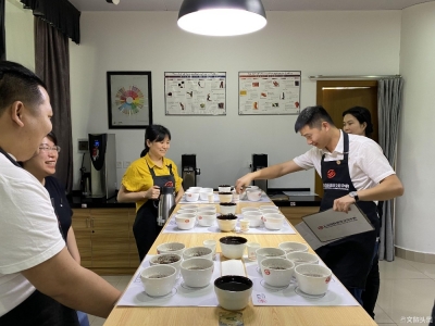 直击云南咖啡生豆大赛现场 普洱学院师生为云南咖啡代言