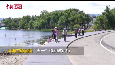 “五一”假期 大理洱海生态廊道引游人