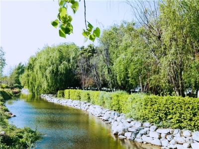 慢步洱海生态廊道 享受美好亲水时光
