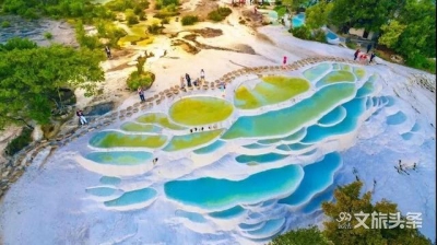 【云游迪庆】香格里拉山满杜鹃 芳姝醉目百看不厌