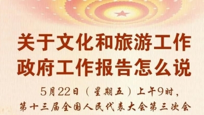 政府工作报告里关于文化和旅游的内容，代表委员怎么看？