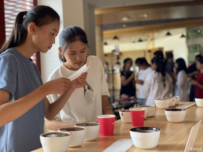 直击云南咖啡生豆大赛现场 普洱学院师生为云南咖啡代言