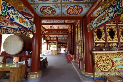 普洱奇景 | 勐卧总佛寺里塔与树的缠绵