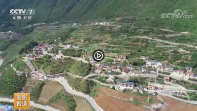 视频 | 【乡村游】趣游湖北昭君村