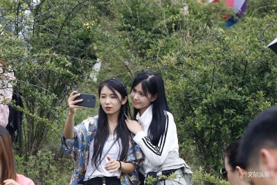 维西青刺果省外“飘香”，引数百位网红达人赴基地探秘