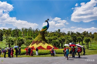 用旅行表达爱 父亲节带着爸妈到太平湖森林小镇清凉一夏