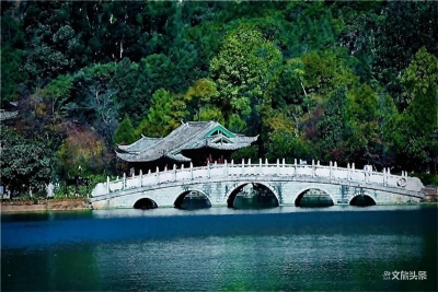 美图丨有一种旅行，叫丽江黑龙潭的夏天！
