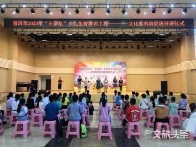 普洱市2020年第一期“小茶花”少儿免费工程——文化系列培训班如期举行