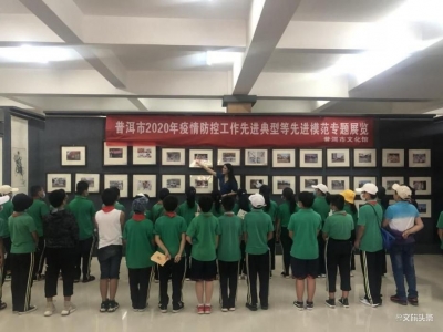 普洱市文旅系统积极开展创文系列主题活动