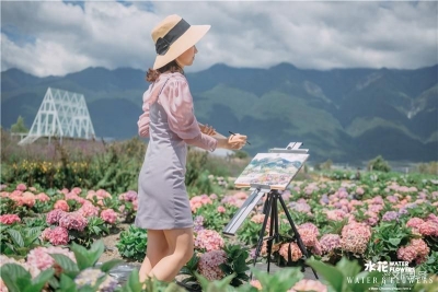 想把大理的绣球花海，送给颜料用完的梵高