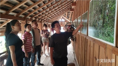普洱市文化馆分组赴县区开展调研