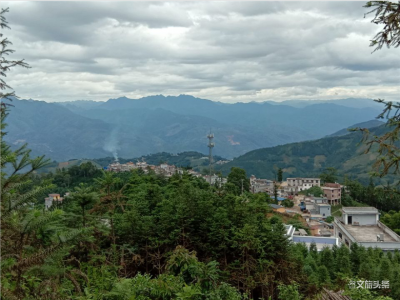 贫困发生率降幅达52.33%！红河州文化和旅游局定点帮扶这个村时做了啥？