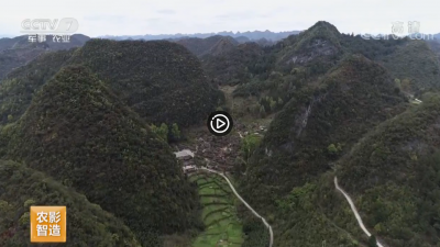 视频 | 【乡村游】贵州荔波 地球腰带上的绿宝石