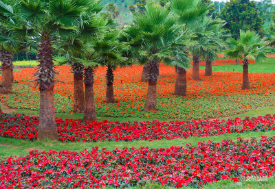 端午小长假最后一天，到弥勒太平湖“粽情释放”！只需30元！