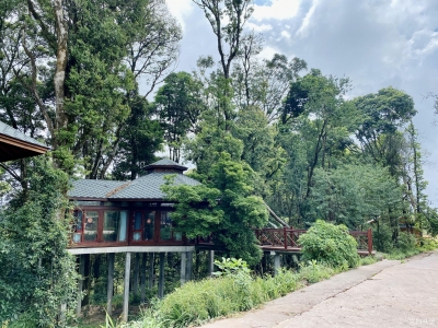 【旅居】藏在宁洱普义深山里的“半山酒店”  