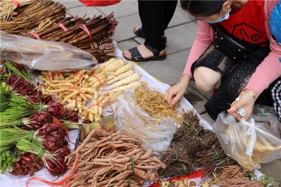 【直播预告】品百草根民俗文化 看普洱民间过端午