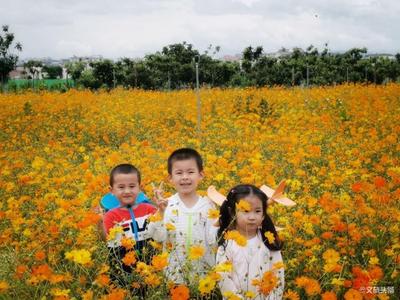 端午节小长假隆阳区文旅业热度逐步回升，乡村旅游成热点