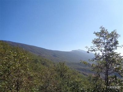 游记丨端午遨游骑龙山