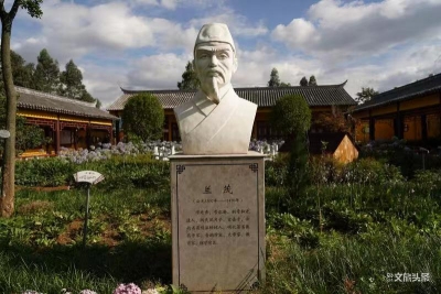 “桃”宝来杨林，“云上”甜一夏！