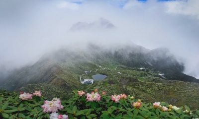 大理不僅有高山杜鵑花海，還有各種珍稀動植物，你確定不來看看？