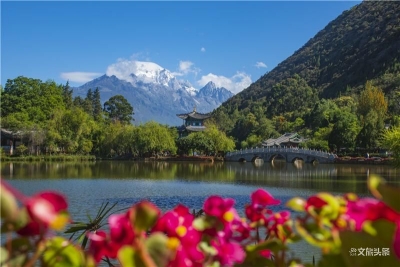 美图丨有一种旅行，叫丽江黑龙潭的夏天！