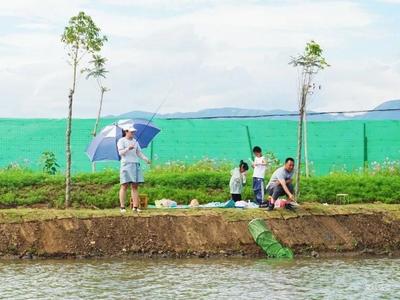端午节小长假隆阳区文旅业热度逐步回升，乡村旅游成热点