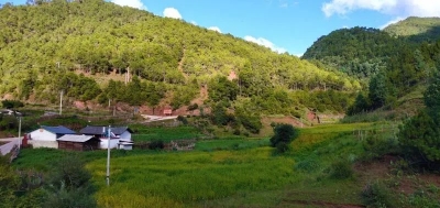 云南省文旅厅派驻永胜县驻村扶贫工作队员宁雪茜日记