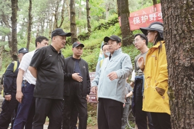 大理州委书记陈坚，州委副书记、州长杨国宗调研苍山保护和苍山生态科普旅游