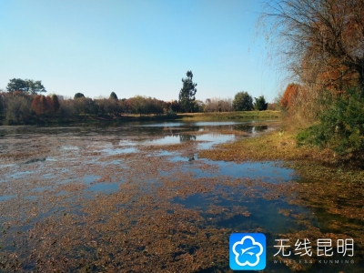 注意！6月1日起，捞渔河湿地不能捞鱼啦