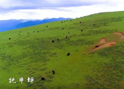 注意！丽江玉龙雪山牦牛坪索道6月2日起停运4天