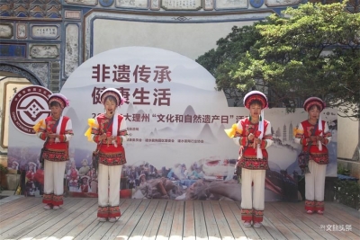 【文化和自然遗产日】大理州各县市系列主题活动呈现非遗魅力