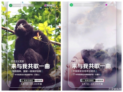 【直播预告】和阿朵故烈、汪东城走进无量山 与西黑冠长臂猿一起狂欢！