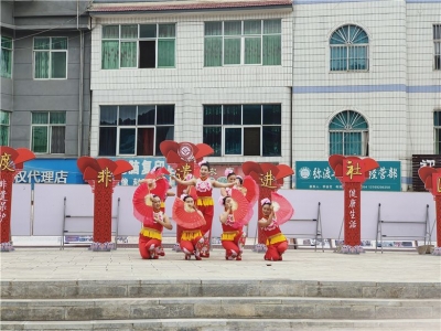 弥渡县2020年“文化和自然遗产日”文化下乡活动走进苴力镇