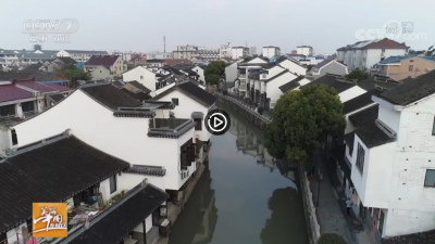 视频 | 【乡村游】寻味上海宝山