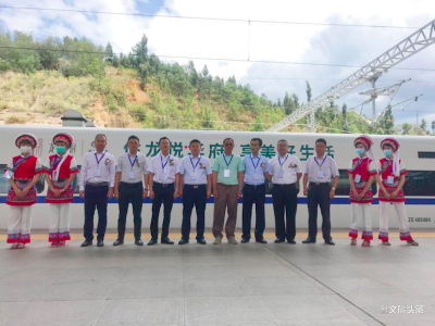 “龙悦华府号”高铁列车在大理站成功首发