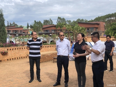 广西壮族自治区文化和旅游厅考察团赴弥勒考察文旅项目建设情况  