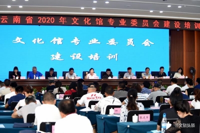 云南省2020年文化馆专业委员会建设培训班在昆开班