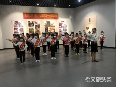 普洱市2020年第一期“小茶花”少儿免费工程——文化系列培训班如期举行