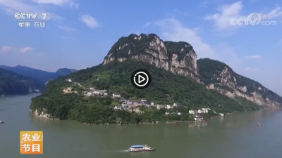 视频 | 【乡村游】湖北宜昌的三峡人家
