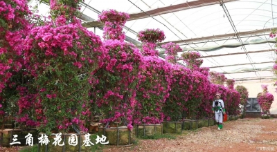石林遇美乡村旅游 全新玩法 即刻出发