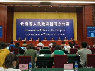 云南聚焦6大方面，加快推进中国（云南）自由贸易试验区高质量发展