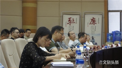 全省“文旅项目申报地方政府专项债券视频培训会”召开
