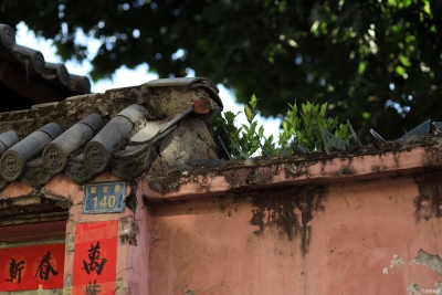 【图说普洱】 | 和我在戴家巷的街头走一走