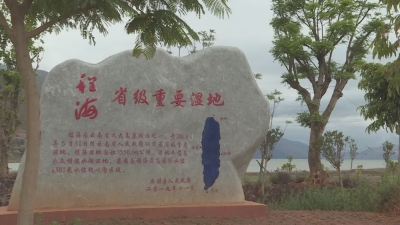 丽江永胜程海湖：生态环境持续向好 引来百鸟繁衍生息