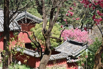 端午游丽江，别忘了这张旅游惠民券！
