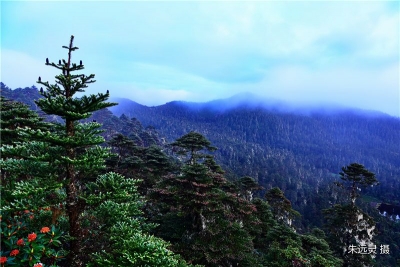 凌晨3点出发探秘丽江老君山九十九龙潭，值！