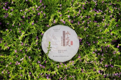 墨江景星水之灵茶业庄园：区块链防伪标识让诚信有“根”可寻