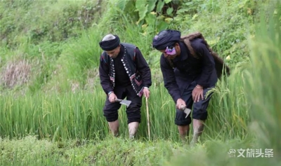 “文化和自然遗产日”倒计时！红河州已准备好一波活动等你来！