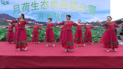 赏荷花、品美食、坐游船...保山新增一个休闲娱乐好去处 